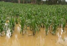 Alternativas para proteger a los trabajadores del campo frente al Niño Costero
