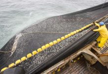 Balanzas pesqueras de hasta 100 mil kilos tendrán control obligatorio desde 2027 Balanzas pesqueras de hasta 100 mil kilos