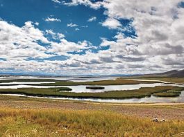 Lago Junín pierde más de 23 puntos de almacenamiento de agua en poco más de un mes Reducción del agua almacenada en el Lago Junín