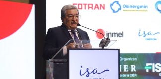 MINEM busca destrabar inversiones eléctricas con una reforma regulatoria prevista para 2027 Revista Economía