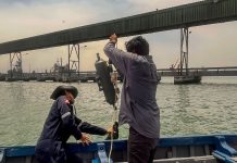 IMARPE vigila el puerto del Callao para detectar especies marinas invasoras
