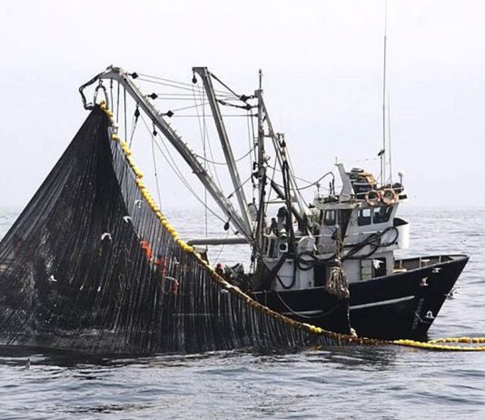 Perú completa su cuota de jurel en alta mar y suma 5.000 toneladas adicionales Cuota de jurel del Perú en alta mar.