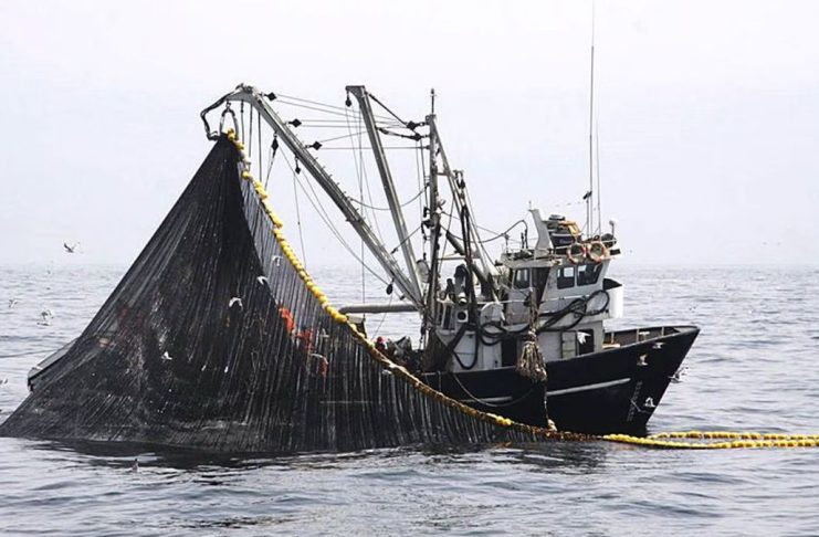 Cuota de jurel del Perú en alta mar.