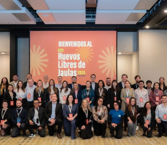 Empresas y academia impulsan la transición hacia el modelo libre de jaula en la industria del huevo