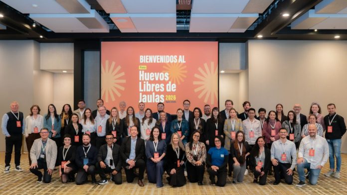 WEB - MEDIOS (2)