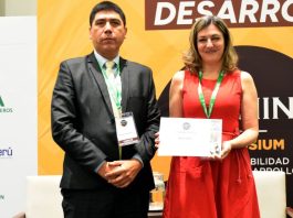 Mineras deben negociar atributos ambientales en sus contratos de comercialización y financiamiento para capturar el valor de la sustentabilidad del cobre y el litio