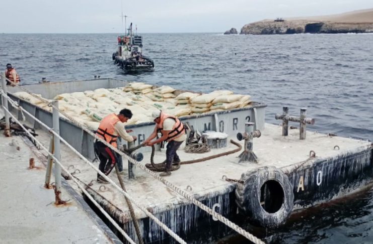 Guano de las islas Macabí trasladado al continente en un envío de 1.320 toneladas.