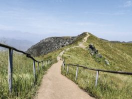 Norvial realizará feria de turismo “Conoce el Norte Chico” junto a LÍNEA 1 y AHORA turismo
