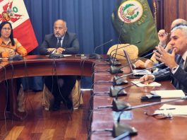 IIMP en mesa técnica del Congreso: “La minería ilegal es una amenaza para el Estado”