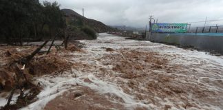 El Niño: CAF destinará US$1.000 millones para enfrentar un posible súper Niño El Niño y financiamiento de CAF.