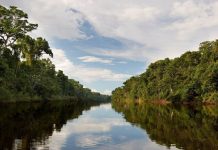 Ceplan propone vincular planes de desarrollo de la Amazonía con el presupuesto público Amazonía peruana y desarrollo territorial.