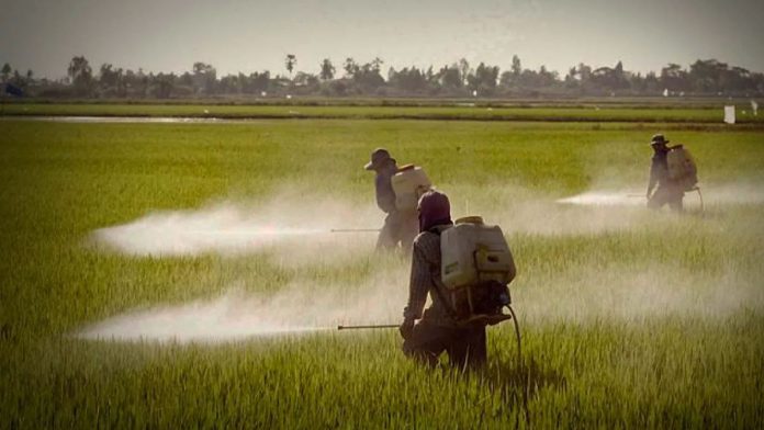 WEB - MEDIOS (37) Plaguicidas agrícolas