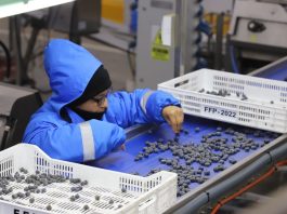 Exportaciones
