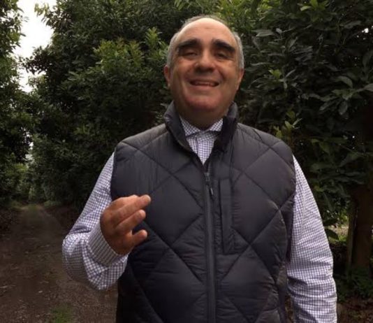 Ecologismo de escritorio: Por qué el activismo verde en redes sociales no está salvando el campo chileno