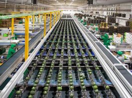 Industria peruana: 84% de empresas que usan crédito externo señala las tasas de interés como principal problema