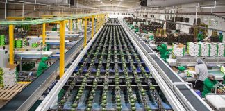 Industria peruana: 84% de empresas que usan crédito externo señala las tasas de interés como principal problema Revista Economía