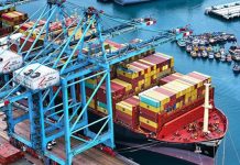 Agroexportaciones peruanas sumaron US$ 8.334 millones entre enero y agosto de 2026