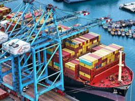 Agroexportaciones peruanas sumaron US$ 8.334 millones entre enero y agosto de 2026